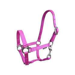 Foal halter York