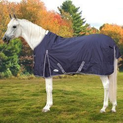 York Calista Winter Regendecke 100g