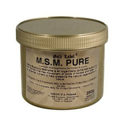 MSM Plus Gold Label preparat wzmacn stawy 250 g