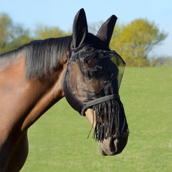 Fly mask York with fringes