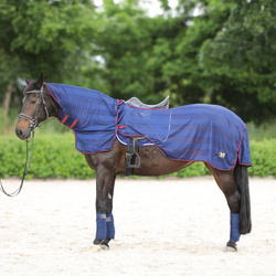 Fly riding rug York Lyra