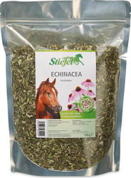 Echinacea Stiefel