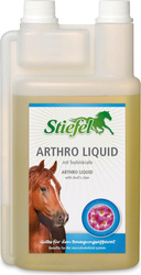 Arthro Liquid Stiefel na układ ruchu