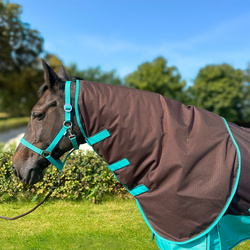 Neck cover York Clarion