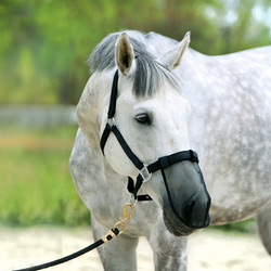 Maska na nos York przeciwko owadom