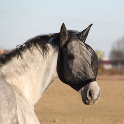 Maska przeciw owadom York Anika czarna Full