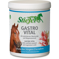 Gastro Vital Stiefel