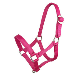 Halter York Shetty